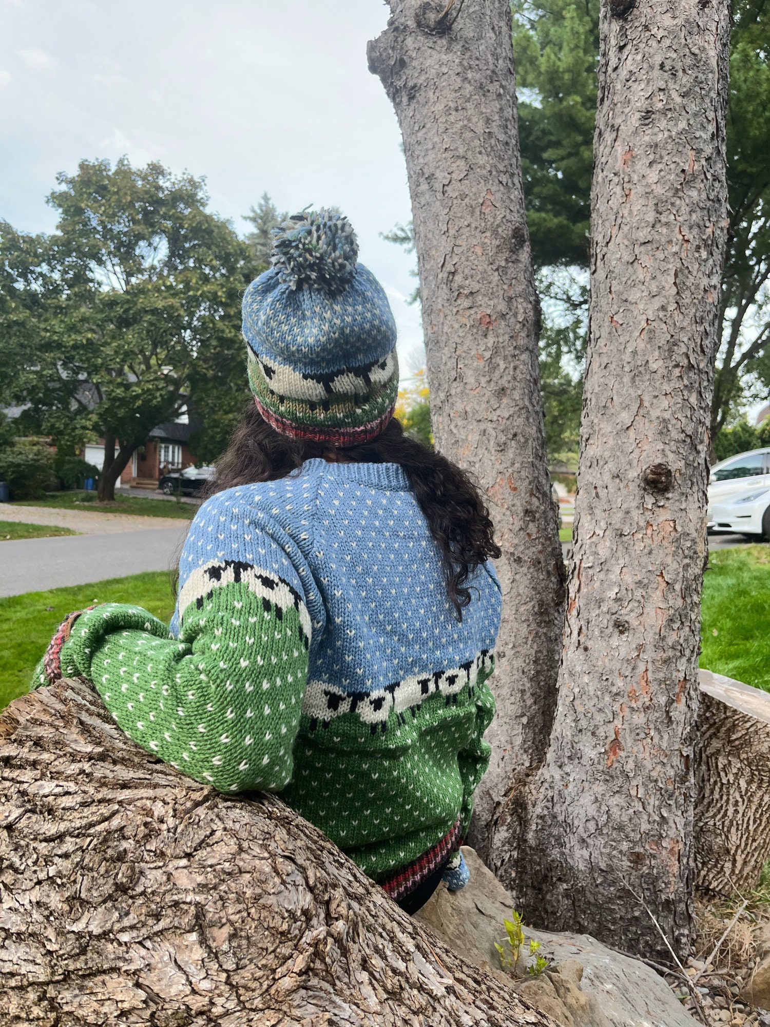 100% Lamb Soft Wool Sheep Sweater Gift for Her Hand Knitted Crewneck Ethical Clothing Comfy Blue and Green Jumper alma Knitwear - Etsy 100% Lamb Soft Wool Sheep Sweater Gift for Her Hand Knitted Crewneck Ethical Clothing Comfy Blue and Green Jumper alma Knitwear - Etsy
