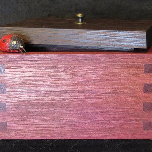 May include: A small wooden box with a hinged lid. The box is made of purple heartwood and has a dark brown top. A small red ladybug is on the top of the box.