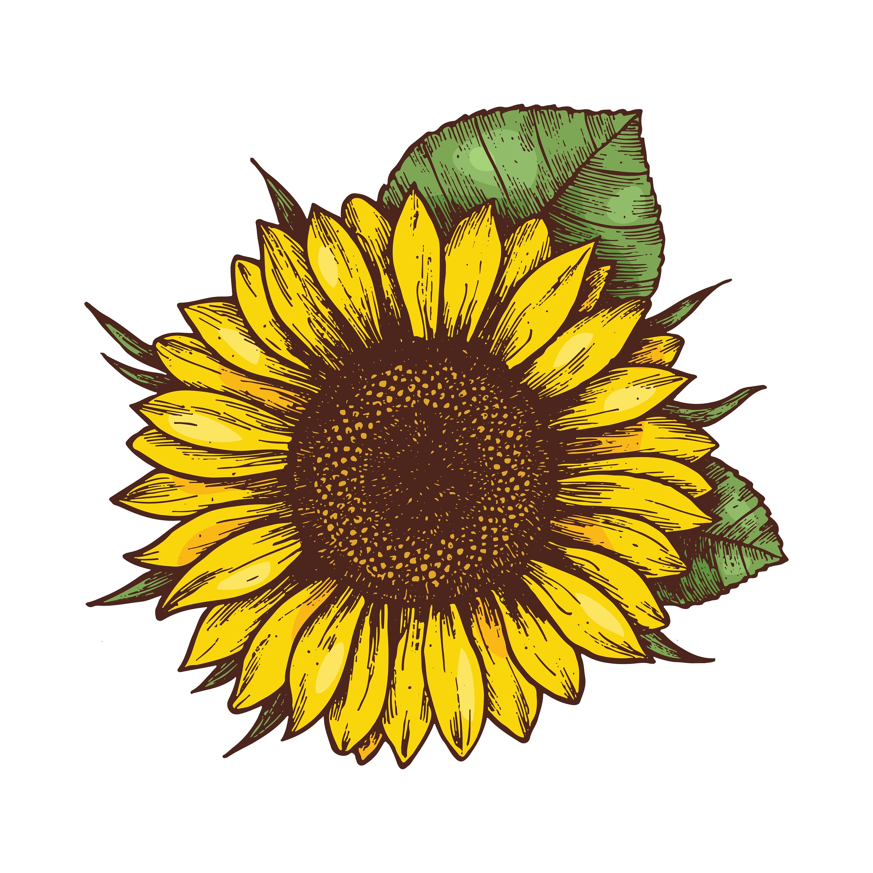 SunFlower PNG File | Etsy