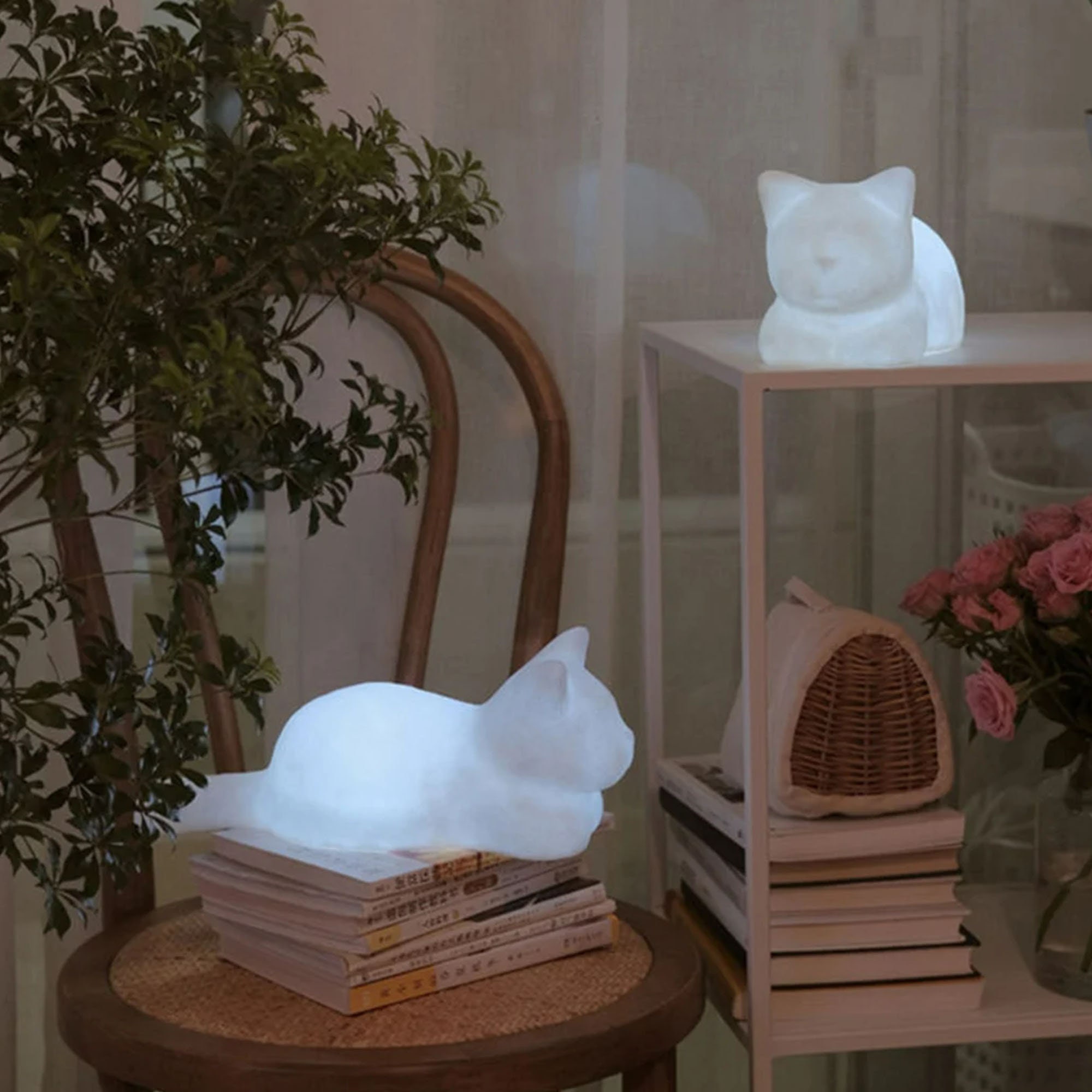 Cute Cat Nightlight Kitten Home Decor Creative Ornament Etsy