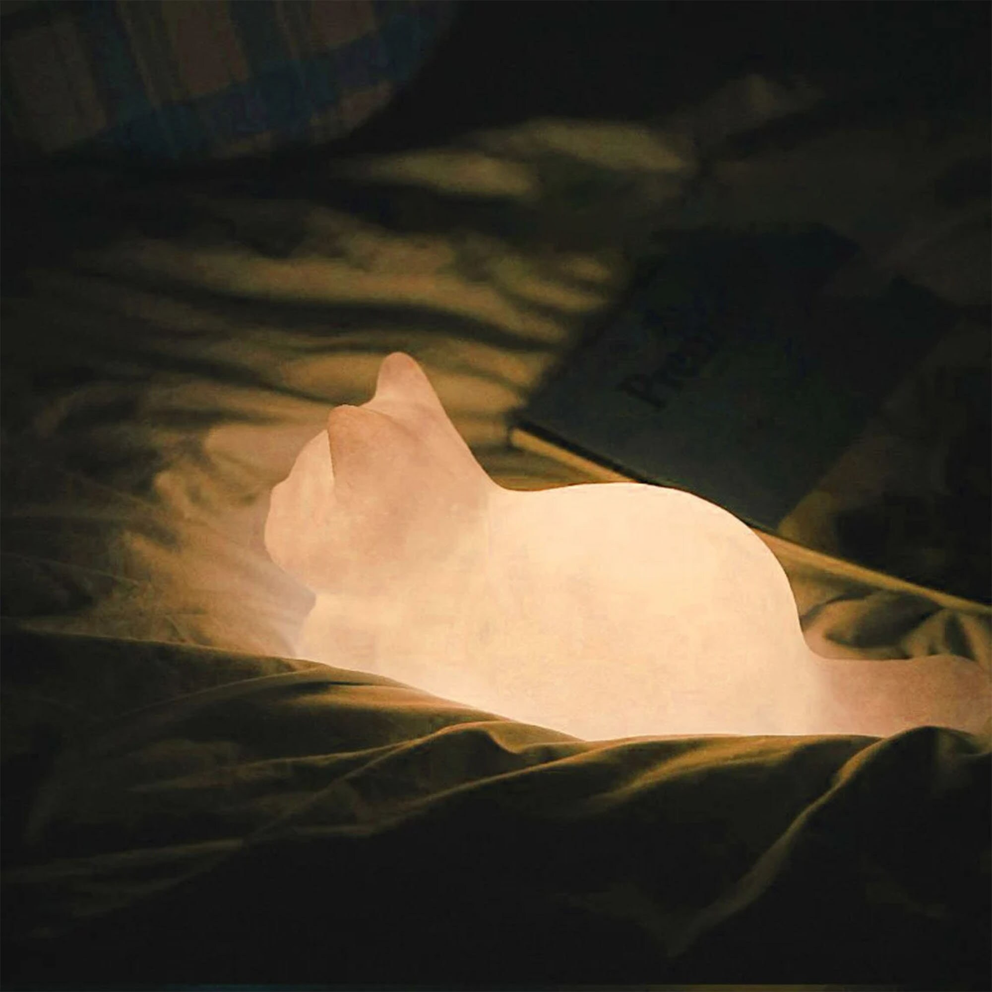 Cute Cat Nightlight Kitten Home Decor Creative Ornament Etsy