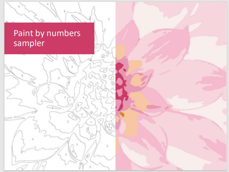 Paint by Number PDF 4 Printable Booklets X 9 Pages Each Etsy