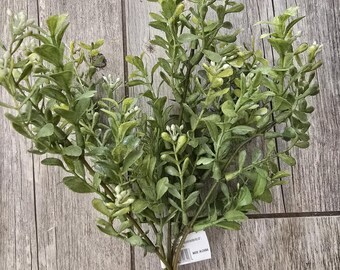 Seeding Boxwood Greenery, Faux Boxwood
