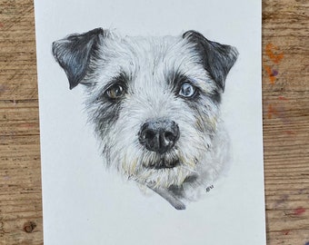 Hand drawn pet portrait | Personalised pet portrait | Pet illustration | Animal portrait | Pet memorial | Pet gift