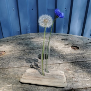 Reagenzglas Vase aus Treibholz von der Insel Rügen
