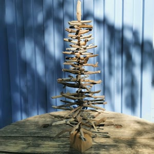 Driftwood tree (70 + 90 cm) from the island of Rügen