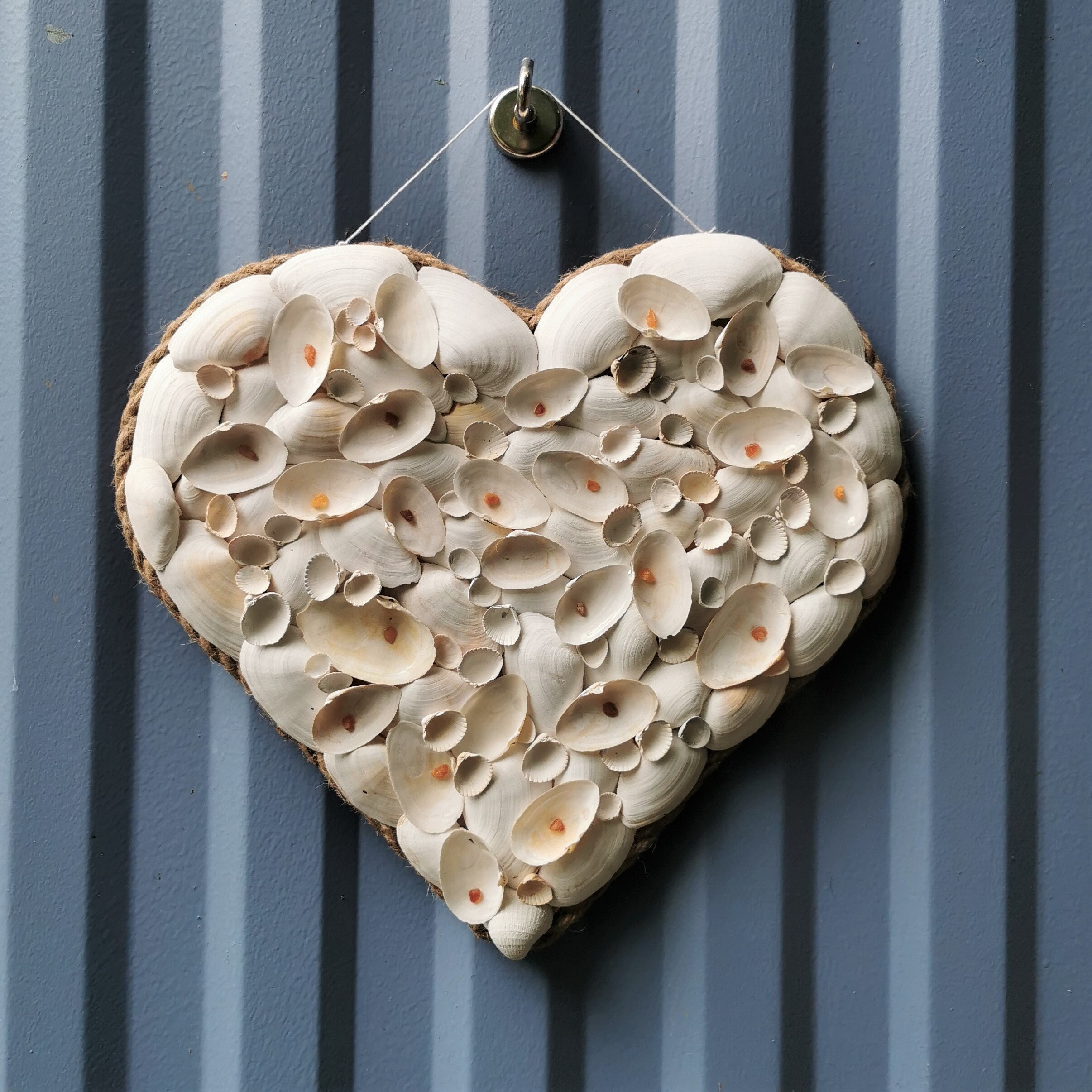 Mussel Heart Saltwater Heart from the island of Rügen