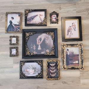 May include: A collection of framed art pieces with ornate black and gold frames. The artwork includes portraits, still lifes, and illustrations of birds and butterflies. The frames vary in size and shape, creating a gallery wall aesthetic.