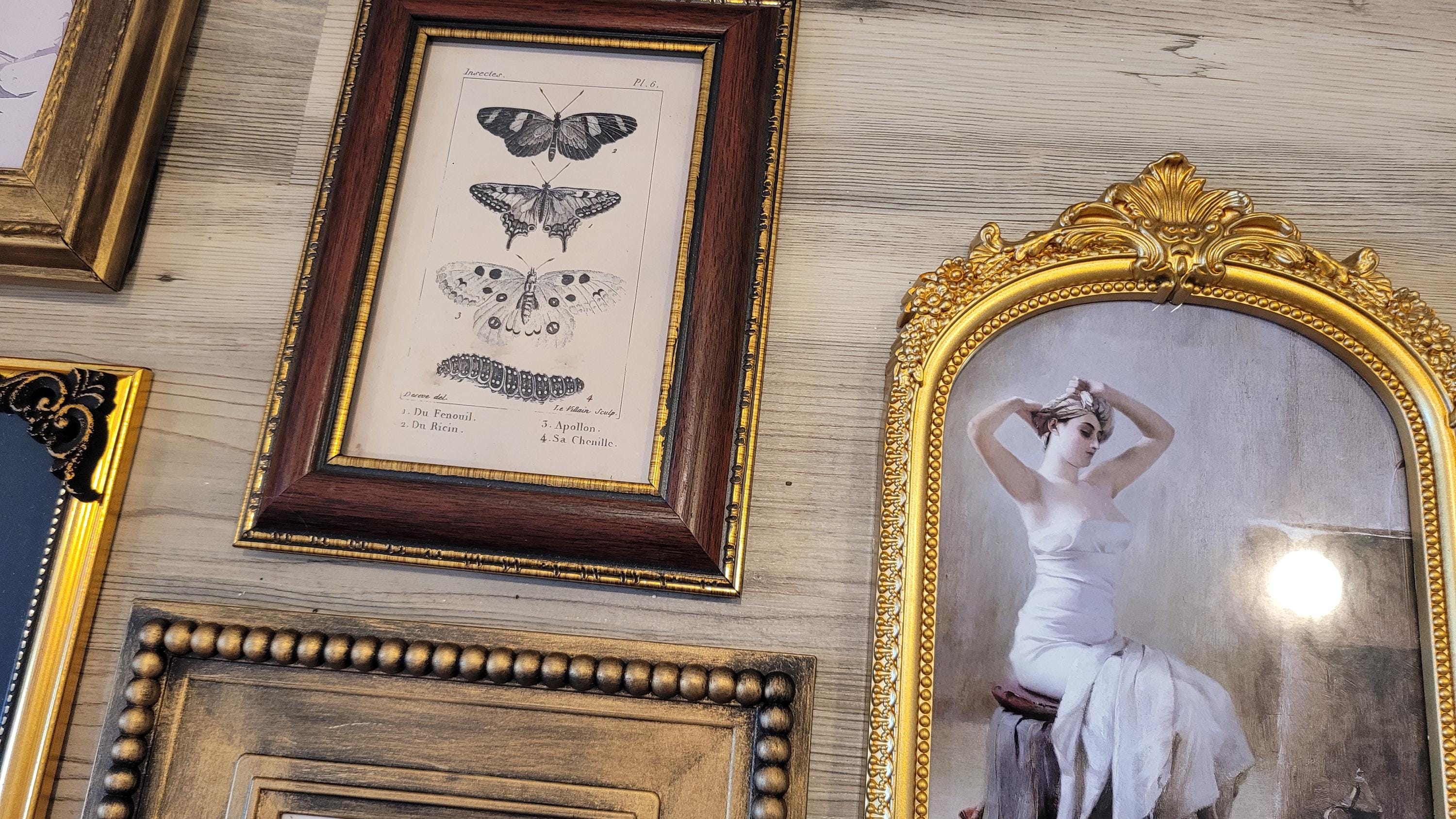 Vintage & Modern | Picture Frames | Gold Ornate Picture Frame | Moody | Dark Academia | Cottagecore | Gallery Wall Print | Maximalist