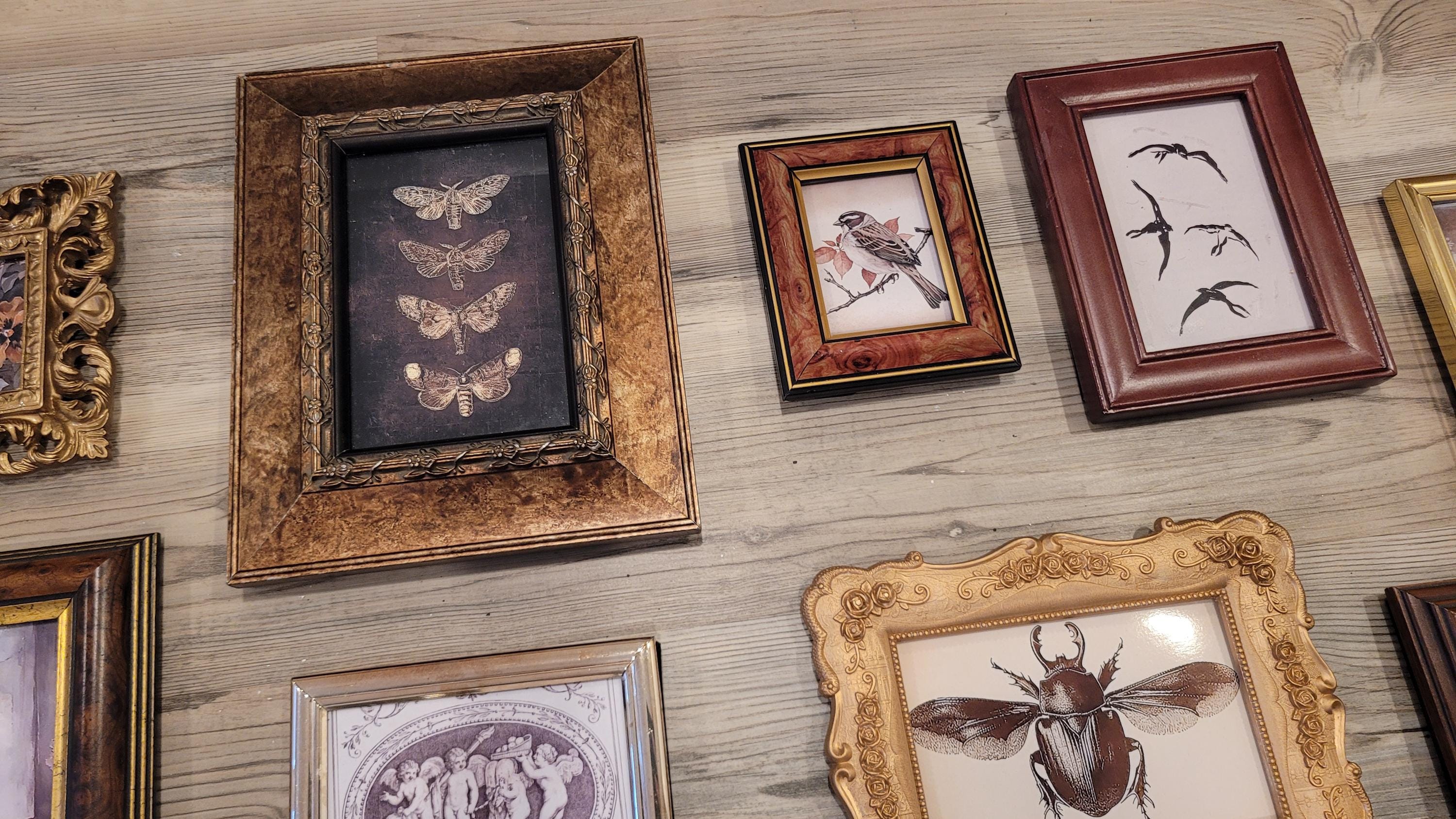 Vintage & Modern | Picture Frames | Gold Ornate Picture Frame | Moody | Dark Academia | Cottagecore | Gallery Wall Print | Maximalist