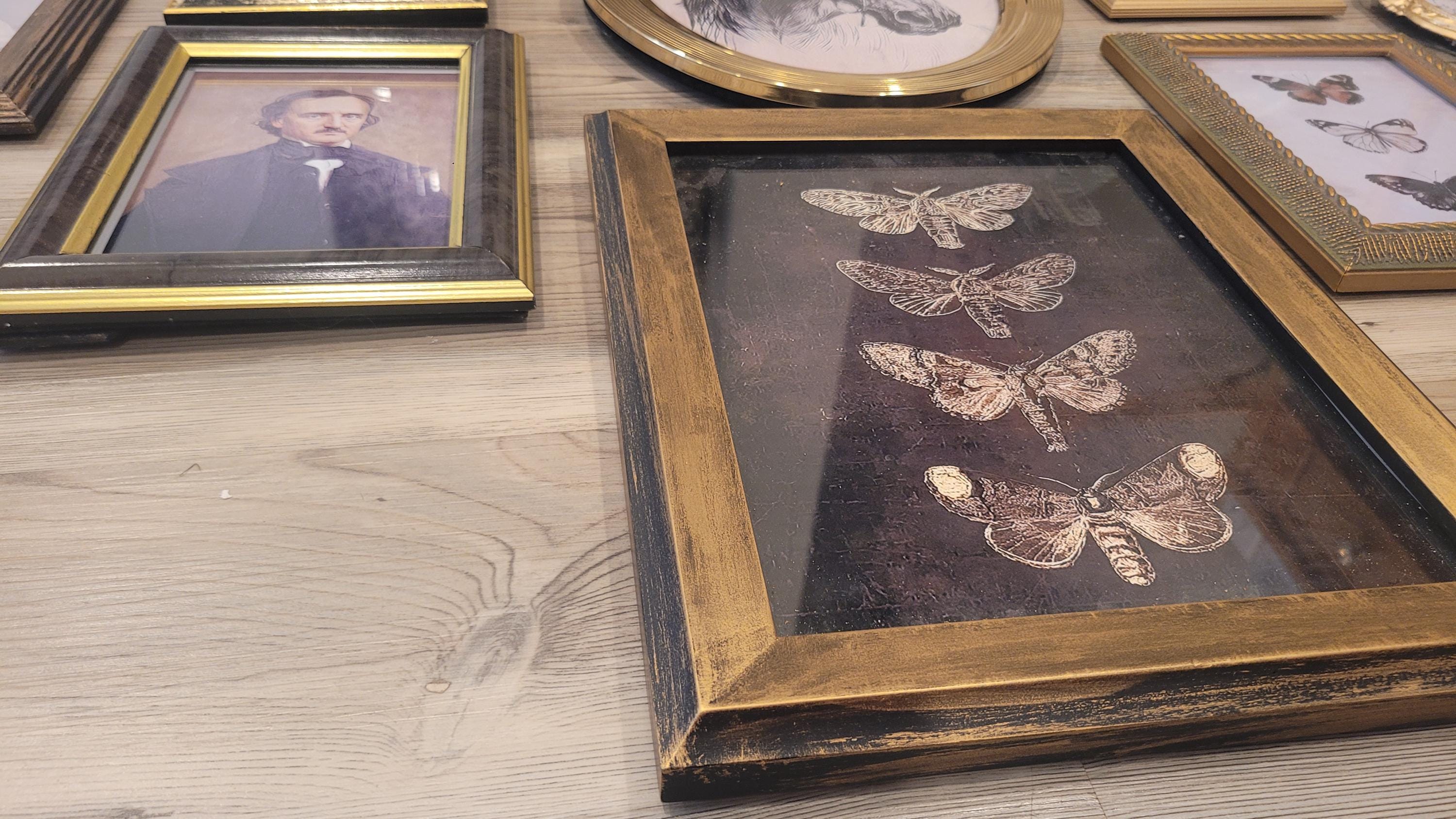 Vintage & Modern | Picture Frames | Gold Ornate Picture Frame | Moody | Dark Academia | Cottagecore | Gallery Wall Print | Maximalist