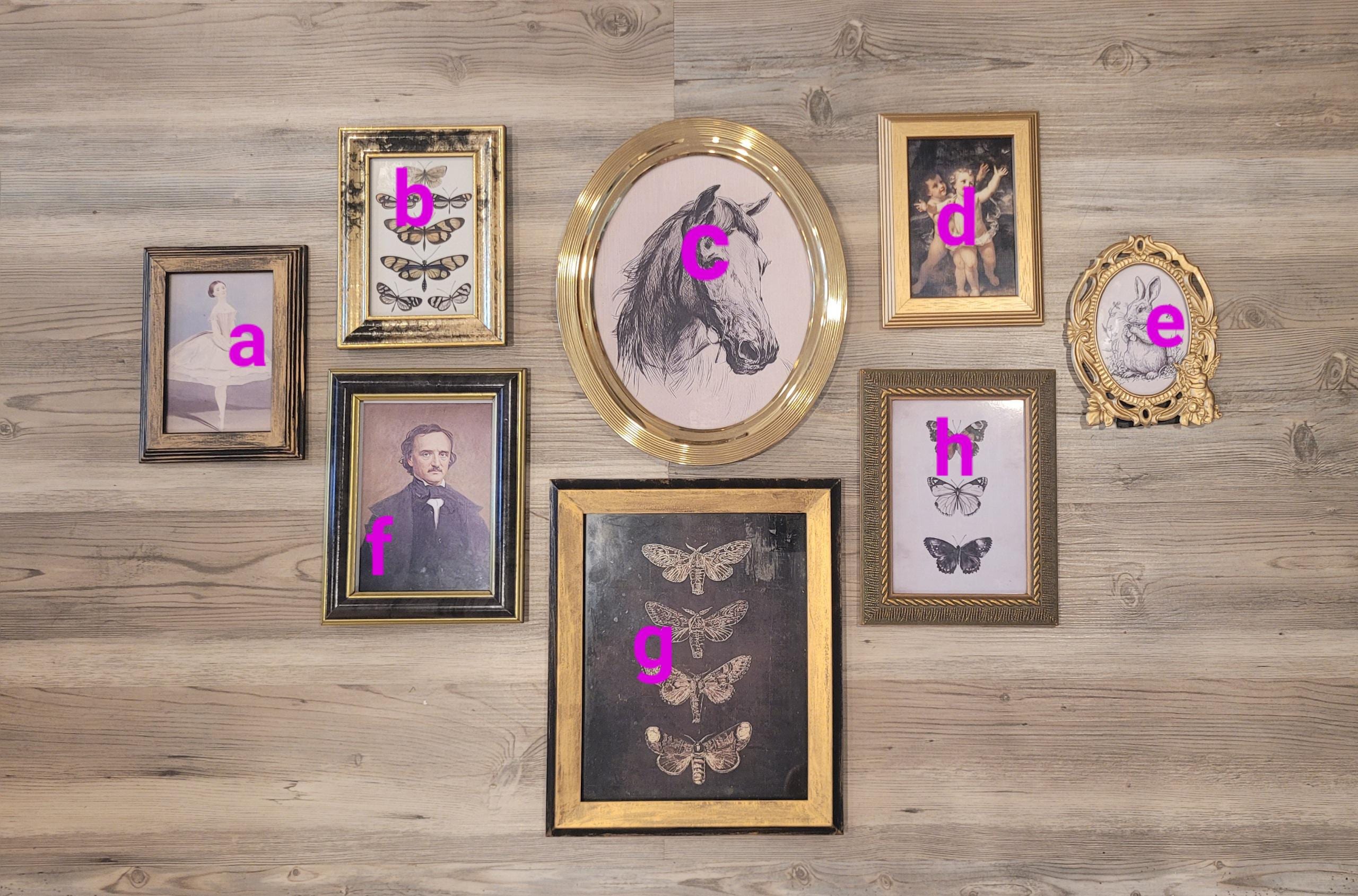 Vintage & Modern | Picture Frames | Gold Ornate Picture Frame | Moody | Dark Academia | Cottagecore | Gallery Wall Print | Maximalist