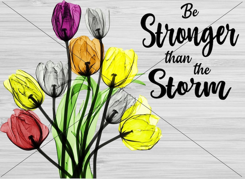 Download Cricut Svg Png Be Stronger Than The Storm Xray Flowers Svg Digital Download Cut File Clip Art Art Collectibles Kientructhanhdat Com