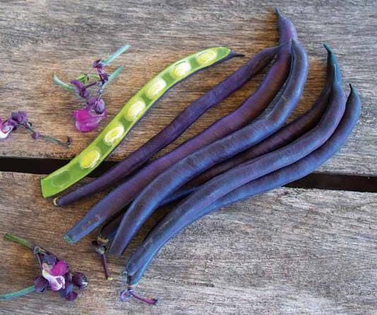 Okinawa sweet potato seeds - Etsy.de