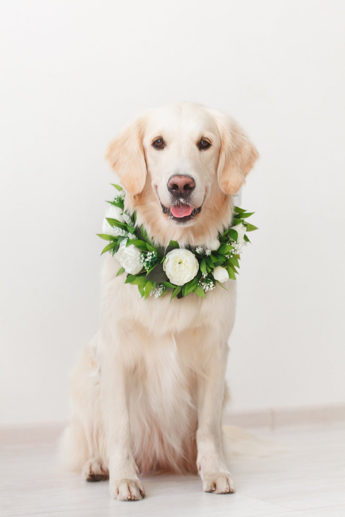 Dog flower collar wedding white peony dog wreath greenery Etsy