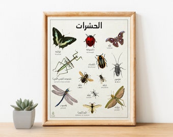 Arabic Insects Poster Downloadable Prints Educational Kids Children Room Learning Wall Art Bugs Size: M/L