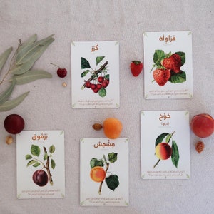 May include: Five illustrated cards with the names of fruits in Arabic, with images of the fruits. The fruits are cherries, strawberries, peaches, apricots, and plums.