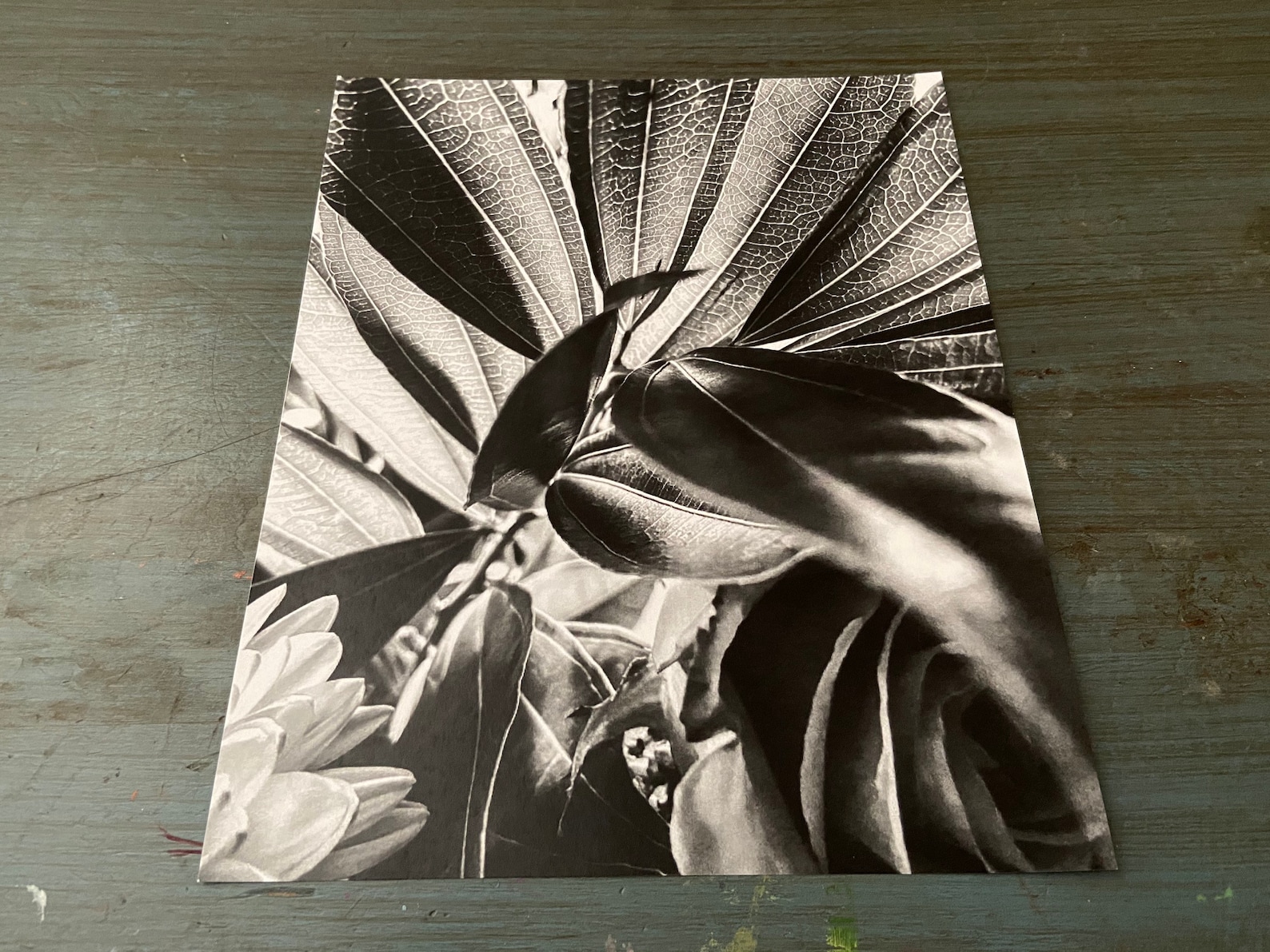 Black and White Photo Prints Black and an White Photography Etsy