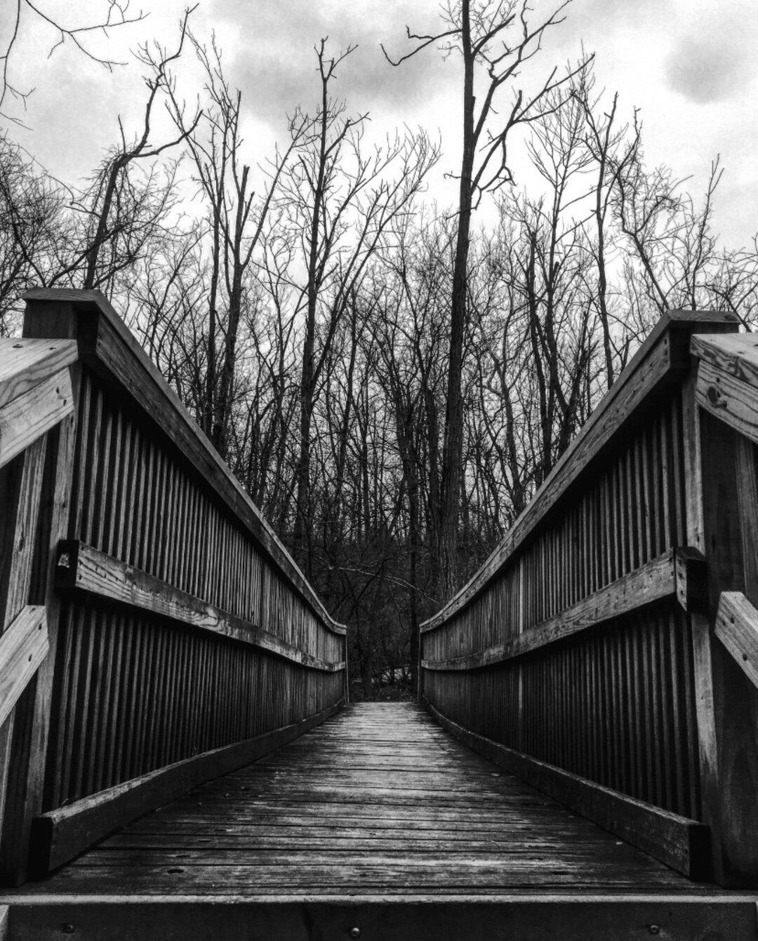 Black and White Photo Prints, Black and White Photography, Black and ...