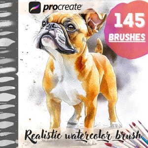 May include: A digital illustration of a brown and white bulldog with a watercolour effect. The image is used to advertise a set of 145 realistic watercolour brushes for the Procreate app.
