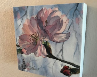 Cherry Blossoms, Spring Garden - Fine Art Print on Wood Panel (Double Blossom), 6 x 6 x 1.5 inches