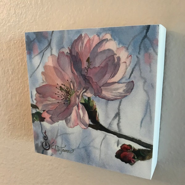 Cherry Blossoms, Spring Garden - Fine Art Print on Wood Panel (Double Blossom), 6 x 6 x 1.5 inches