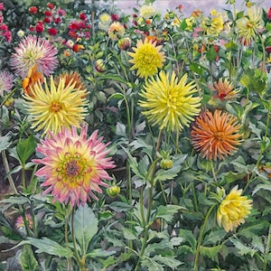 Dahlias - Fine Art Print of Watercolor Painting, 11&quot; x 17&quot; image mounted in 16&quot; x 20&quot; mat