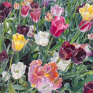 Tulipes - impression d'art aquarelle