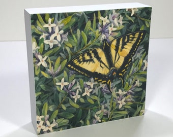 Butterfly, Swallowtail with Daphne Flowers - Fine Art Print on Wood, 6 x 6 x 1.5 inches