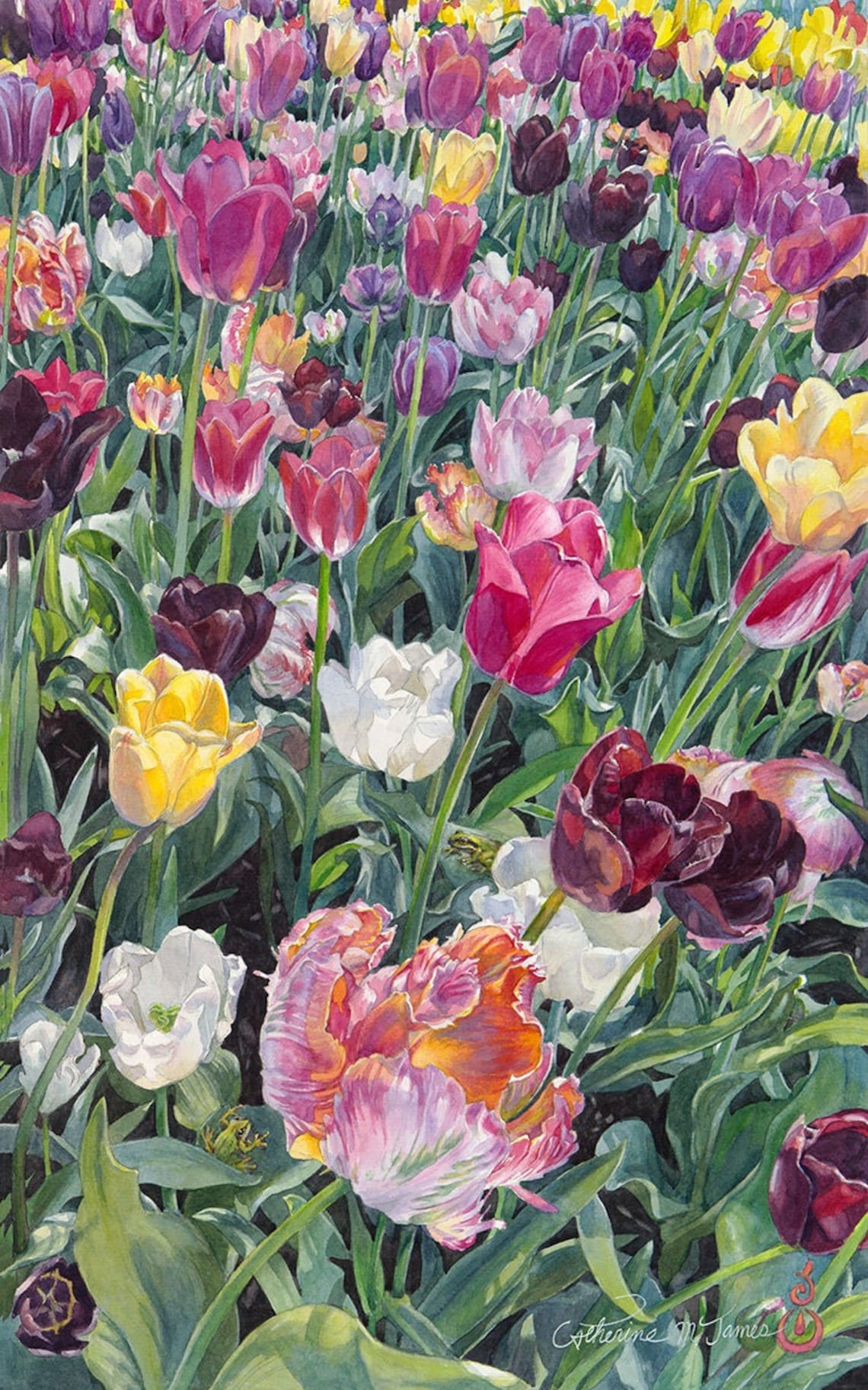 Tulips art print Etsy