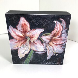 Amaryllis Flowers, Botanical Art, Christmas Decor, - Art Print on Wood Panel, 6 x 6 x 1.5