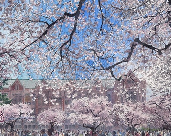 Cherry Blossoms, University of Washington, Seattle - Hanami - Fine Art Print of Watercolor Painting, 11x17 inches