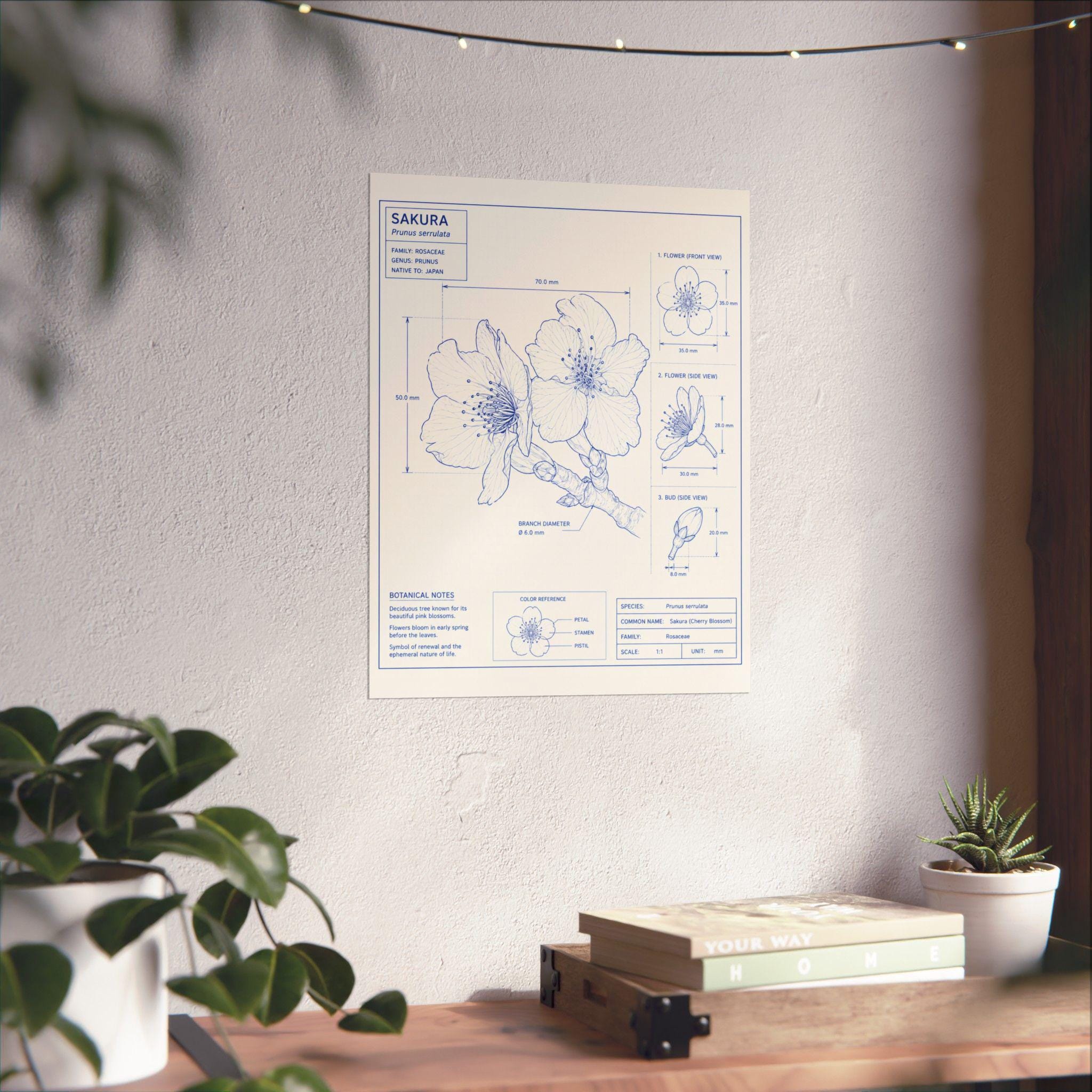 Sakura Cherry Blossom Technical Diagram Matte Poster | Botanical Art ...