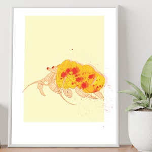 Heremietkreeft - Se(a)ries - Print - Illustratie - Cadeau idee - Home decor - Poster