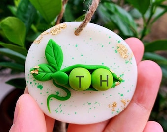 Personalized two Peas in a pod, cute tiny clay peas, Anniversary gift, Christmas Gift, Birthday Present from Daughter, Special family gifts
