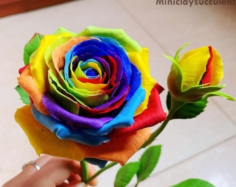 Rose en argile faite à la main, cadeaux uniques de rose arc-en-ciel, cadeaux d'amour d'anniversaire, rose d'anniversaire pour maman, cadeaux lui rose LBGT, cadeaux de maman, art rose sec