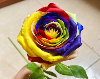 rainbow-rose  50-stem Rainbow Roses | Costco