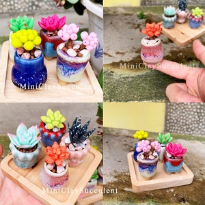 Christmas plants for mom, Valentines succulents, Crazy plant lady, Birthday plants lover gifts, Clay succulents seed, Mini Cute desk decor