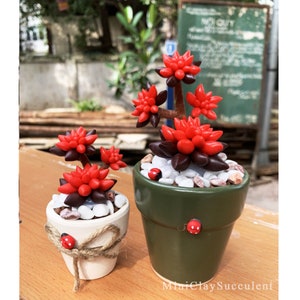 Couple Rare Pachyphytum glutinicaule artificial succulents plant/ clay Pink succulents plant gift/ Spring plant decor/ Birthday gift for her