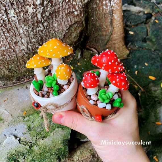 Handmade Clay Mushroom Plant, Rare Christmas Mushroom Pot, Fall Plant  Mushroom, Thanks Giving Gifts, Mushroom Fungi, Red Spotted Mushroom - Etsy