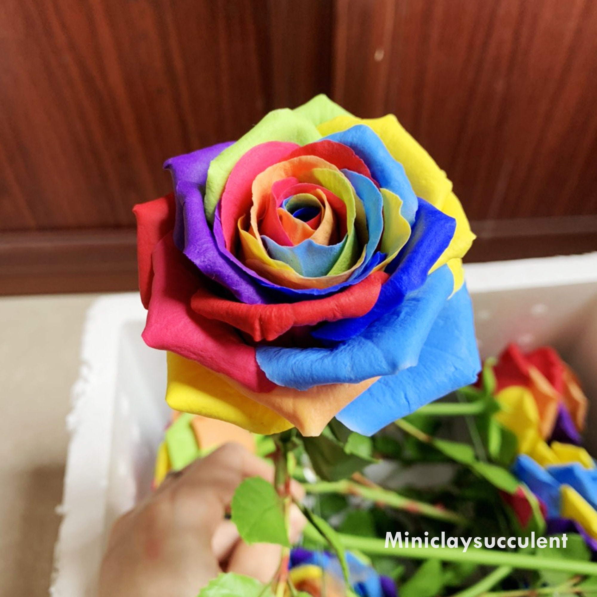 raibow-rose Rainbow roses - Roses