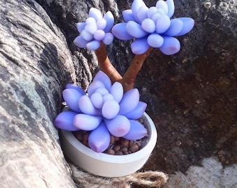 Handmade succulent houseplant, Clay Purple succulents plant, Mini Artificial plant pot, Cute plant on desk, Spring succulent for mother gift