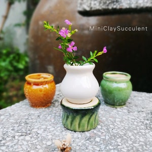 Süßer Miniatur Topf für Sukkulenten / Kleine Blumenpflanzen Vase / Pflanzen Ihre eigenen Säbelchen / Feengarten / Sukkulenten Topf Liebhaber / Geschenkidee für Frau