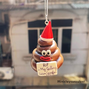 Handmade clay Poop Gifts, Poop emoji, Funny ornament, Positive Poo, Birthday poop toy, Handmade Holiday Gifts, Funny Christmas ornament tree
