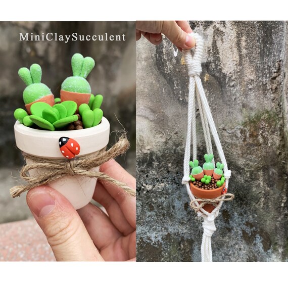 Mini Macrame Hanging Succulent/ Fake Succulents Car Hanger/ Car Hanging  Plants/ Clay Rare Succulent Plant/ Artificial Succulent Favors Lover - Etsy  Finland