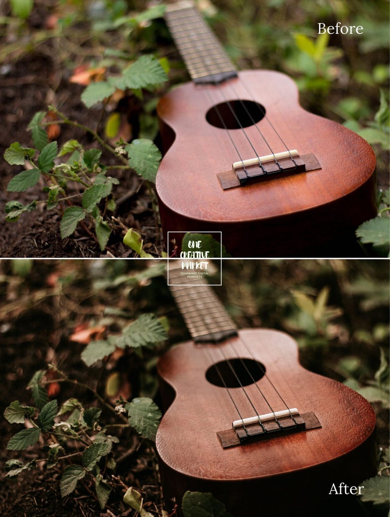 Rustic Photo Filter 20 Rustic Lightroom Presets and 14 Tools. Professional Desktop and ...