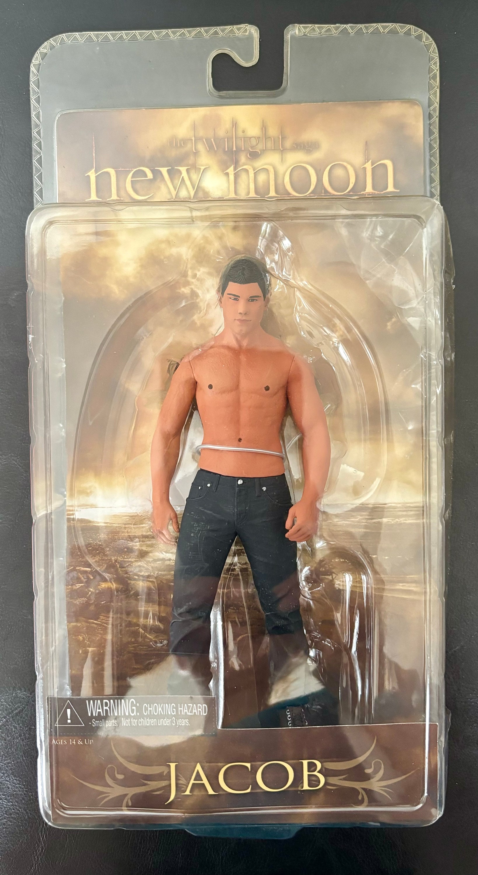 Jacob Black Twilight Edward Doll Jacob Doll Twilight Barbies For