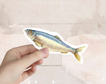 HERRING FISH / Vinyl Art Sticker / Fish Art/ Fish Painting / Handmade, Laptop, water bottle, phone case