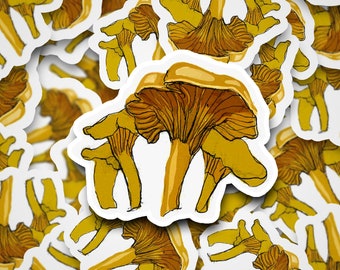 Chanterelle Mushroom Art / Vinyl Art Sticker / Laptop, water bottle, phone case