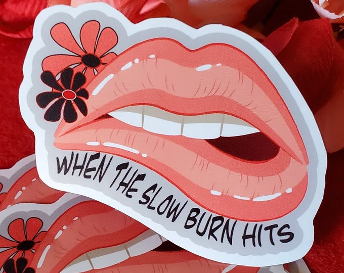 When The Slow Burn Hits Vinyl Sticker, Romance Tropes, Romance Readers, Bookish Sticker, Naughty Sticker, Kindle Sticker